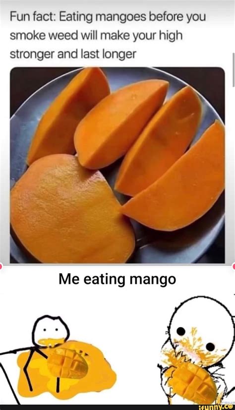 However, if it has lots of wrinkles, it is a sign that the mango is starting to go bad. . He gon eat me like a mango